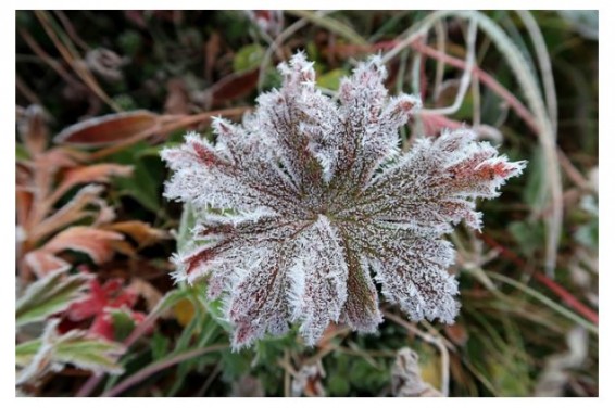 Синоптики прогнозируют похолодание на 2-3 градуса в Армении