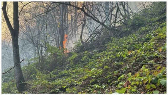 Нужны добровольцы: крупный пожар в Армении распространяется и уже добрался до нацпарка