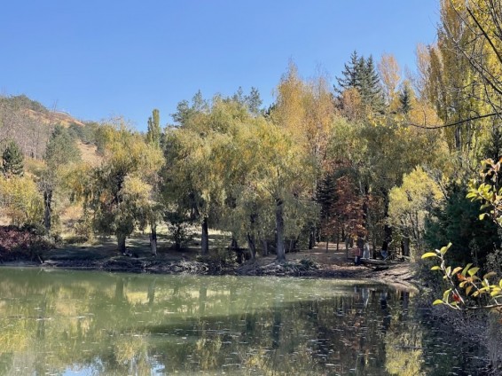 Սպասվում է առանց տեղումների եղանակ