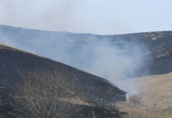 Все очаги пожаров в Армении ликвидированы – МВД