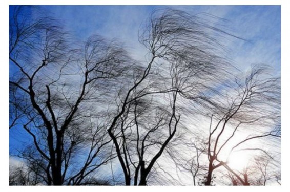 В Армении ожидается сильный ветер вплоть до штормового