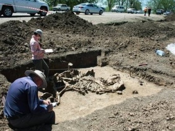 Բրազիլիայում հայտնաբերվել են գիտությանն անհայտ նախապատմական սողունների մնացորդներ