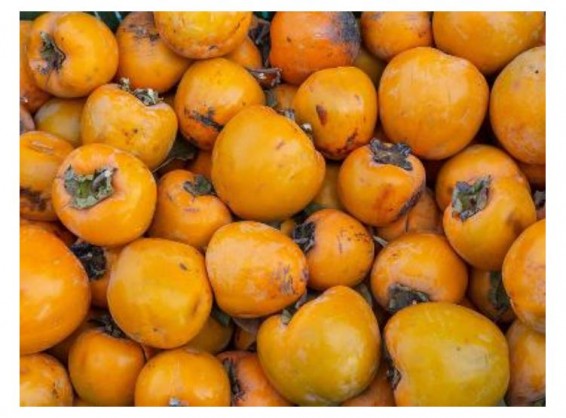 Российские власти нашли в хурме из Азербайджана вредителей