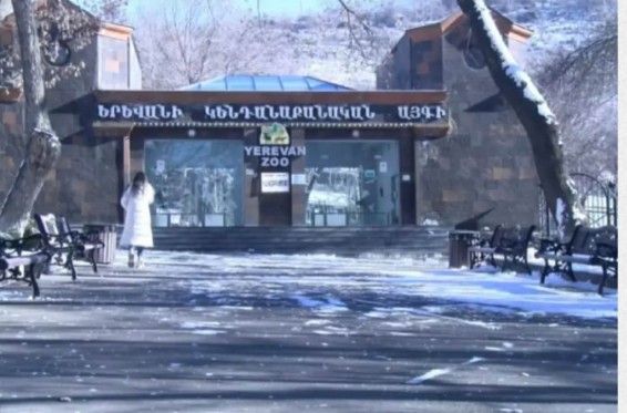 Կենդանաբանական այգուց հիվանդանոց է տեղափոխվել 24-ամյա տղա՝ պարանոցի հատվածում ստացած վնասվածքներով