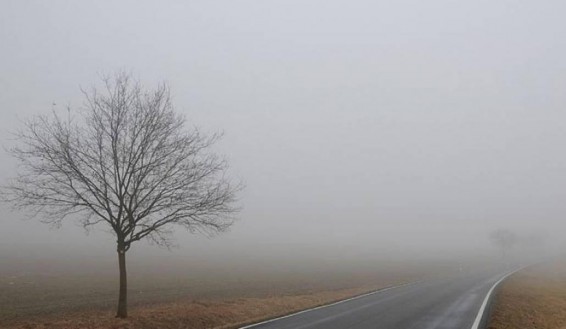 Արագածոտնի, Շիրակի, Արարատի ճանապարհներին մառախուղ է