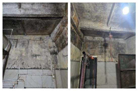 Վանաձորում կասեցվել է սպանդանոցի արտադրական գործունեությունը