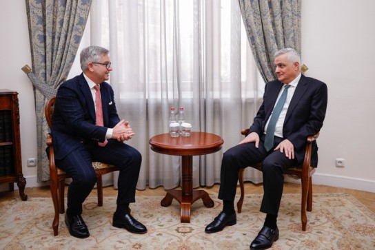 Մհեր Գրիգորյանը և Մագնուս Բրունները պատրաստակամություն են հայտնել շարունակելու աշխատանքները ԵՄ մուտքի արտոնագրերի ազատականացման ուղղությամբ