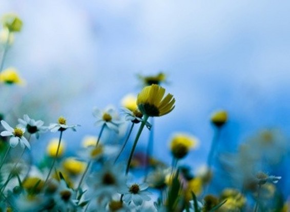 Եղանակը Հայաստանում