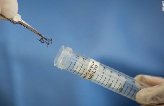 Զիկա վիրուսի հետեւանքով առաջացած միկրոցեֆալիան կարող է զարգանալ նաև երեխայի ծնվելուց հետո