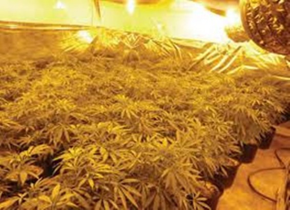 Ինդոնեզիայի մայրաքաղաքի կենտրոնում 900 կգ թմրանյութ են այրել