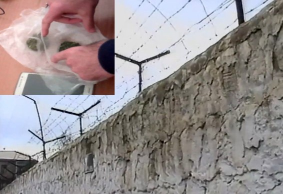 Մարիխուանան դատապարտյալին չհասավ