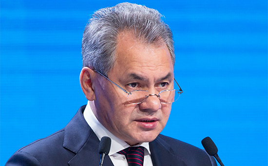 Шойгу связал убийство посла с борьбой России с террористами