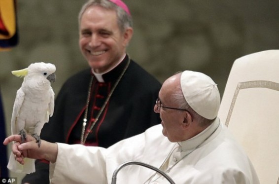 Photo. Հռոմի պապը Վատիկանում հյուրընկալել է կրկեսի աշխատողներին