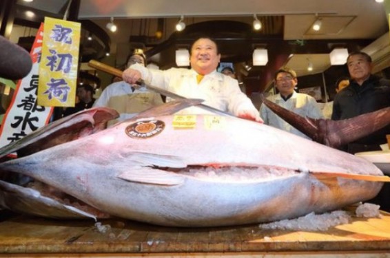 Ճապոնիայում 212 կգ քաշով թյունոսն աճուրդում վաճառվել է 637.000 դոլարով