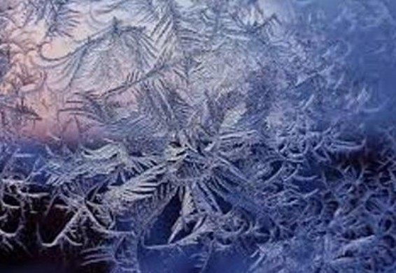 Մոսկվայի շրջանում անցած գիշեր օդի ջերմաստիճանը հասել է 36 աստիճան ցրտի