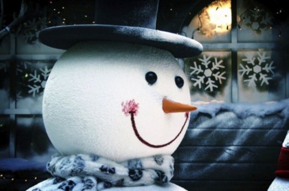 Գերմանիայում գնացքի մեքենավարը ձնեմարդու պատճառով կանգնեցրել է գնացքը