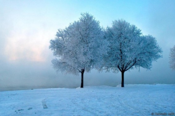 Առաջիկա օրերին օդի ջերմաստիճանն էապես չի փոխվի