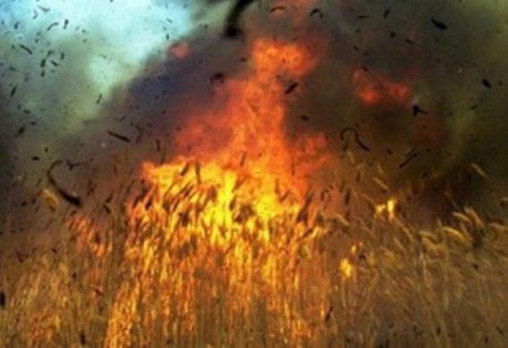 Այրվում է խոտածածկ տարածք