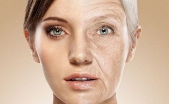 Գիտնականները պարզել են ծերացման պատճառները