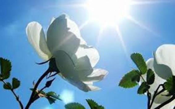 Սպասվում է առանց տեղումների եղանակ