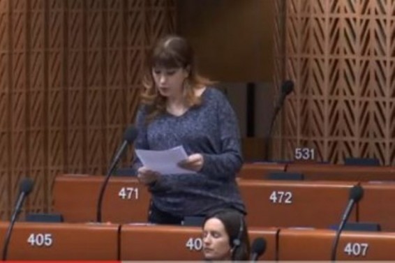 Տավուշ, դիվերսիոն ներթափանցում Ադրբեջանի կողմից. Նաիրա Կարապետյանի ելույթը ԵԽԽՎ