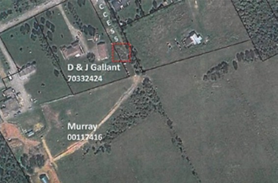 Կանադացիները տուգանվել են Google Earth-ում երևացող գոմաղբի համար