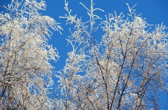 Եղանակը Հայաստանում