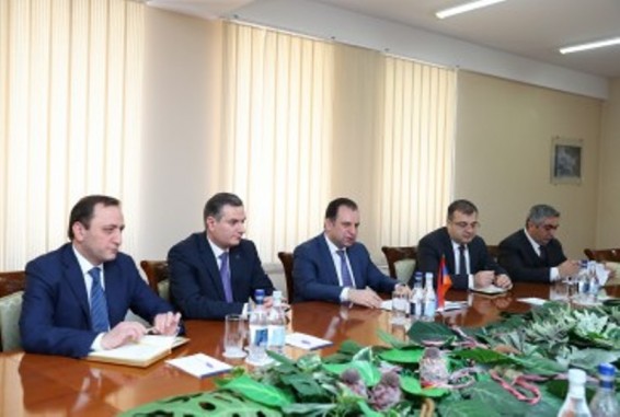 ՀՀ պաշտպանության նախարարն ընդունել է Շվեդիայի խորհրդարանական պատվիրակությանը