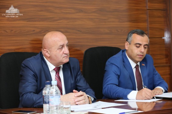 Photo. Տարեկան հաշվետվությունների քննարկում ԼՂՀ ԱԺ սոցիալական և առողջապահության հարցերի  մշտական հանձնաժողովում