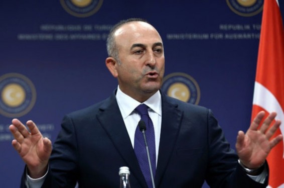 Թուրքիայի ԱԳՆ-ն քննադատել է Կիպրոսի նախագահին