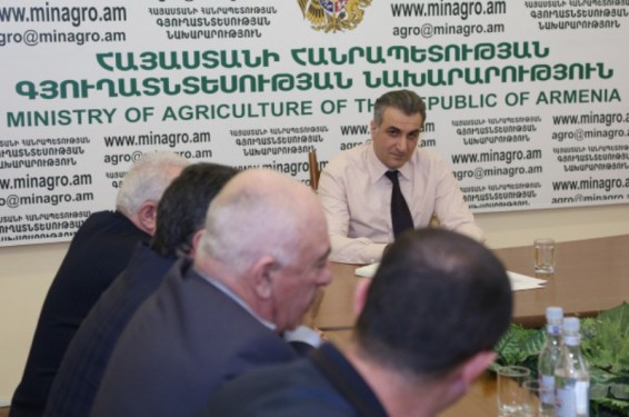 Գյուղնախարարությունում քննարկվել են Հայաստանում կարտոֆիլագործության զարգացման ուղղությունները