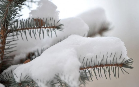 Օդի ջերմաստիճանը կբարձրանա 10-15 աստիճանով