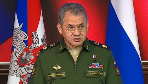 Лев медведю не указ: Шойгу разъяснил ситуацию в Ливии на зоологических примерах
