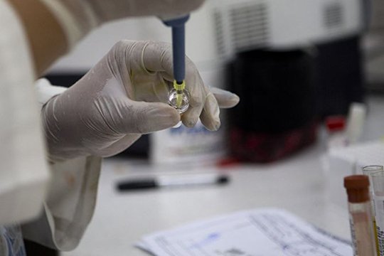 Ադրբեջանում զգալիորեն աճել է հեմոֆիլիա անբուժելի հիվանդությամբ տառապողների թիվը