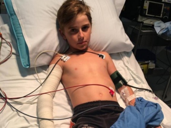 Ավստրալիայում փրկել են 10-ամյա տղայի կյանքը, ում խայթել էր աշխարհի ամենաթունավոր սարդը