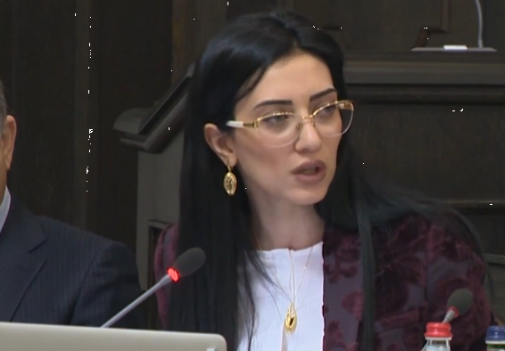 Video. Անհամաձայնություն Աղվան Հովսեփյանի ու Արփինե Հովհաննիսյանի միջև. վարչապետը 3 օր ժամանակ տվեց