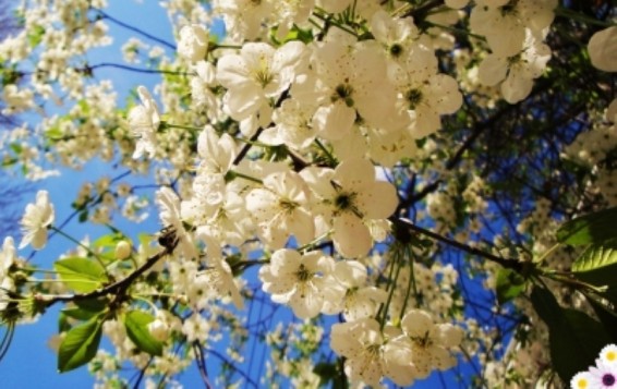 Եղանակը Հայաստանում