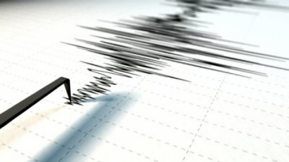 Վրաստանում տեղի է ունեցել երկրաշարժ