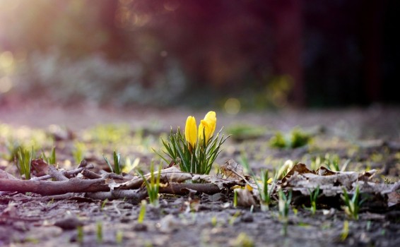 Եղանակը Հայաստանում