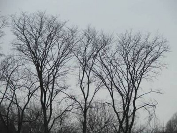 Եղանակը Հայաստանում