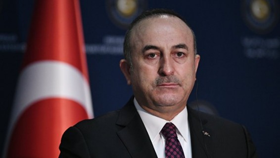 Глава МИД Турции: нидерландские политики 