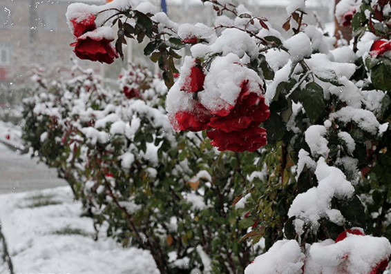 Եղանակը Հայաստանում