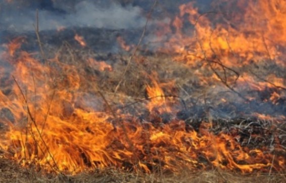 Հրդեհներ խոտածածկ տարածքներում