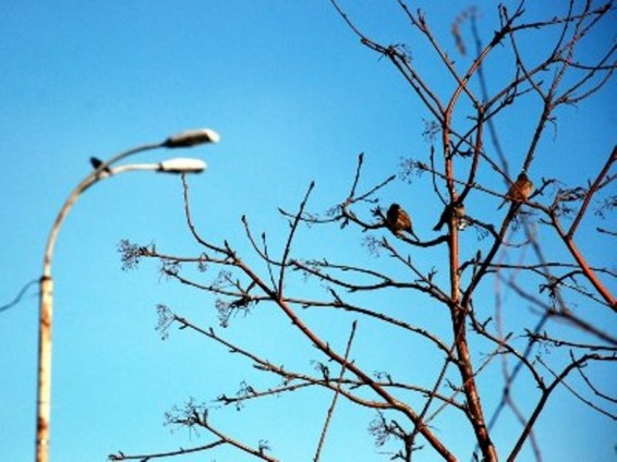 Եղանակը Հայաստանում