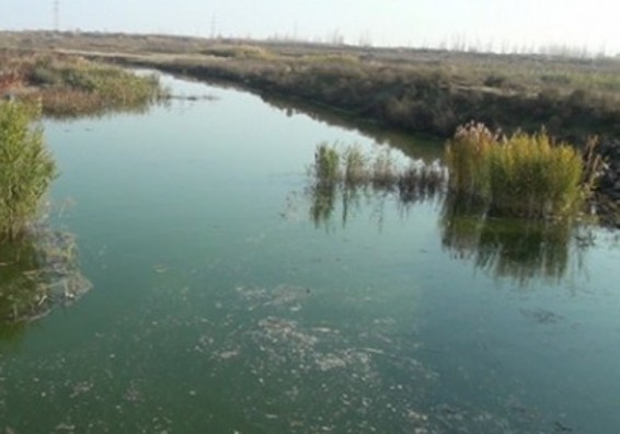 Ատոմակայանը սնուցող Սևջուր գետի ջրի որակը վատթարացել է