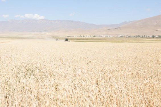 Մեկնարկել է Գյուղտեխնիկայի լիզինգի ծրագրի հայտերի ընդունման գործընթացը