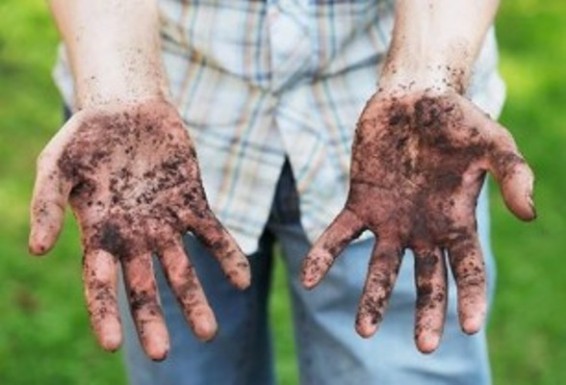 Հողի միջոցով փոխանցվող մակաբուծային հիվանդություններ