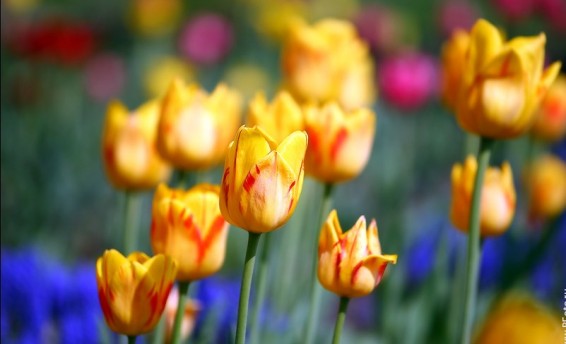 Հայաստանի տարածքում օդի ջերմաստիճանն աստիճանաբար կբարձրանա