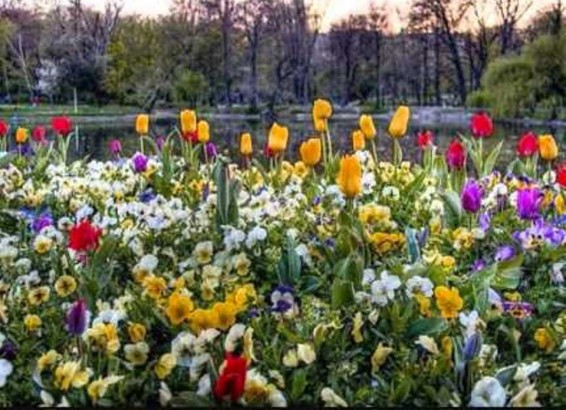 Եղանակը Հայաստանում