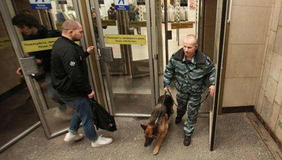 В петербургском метро нашли гранату с запалом и следами тротила